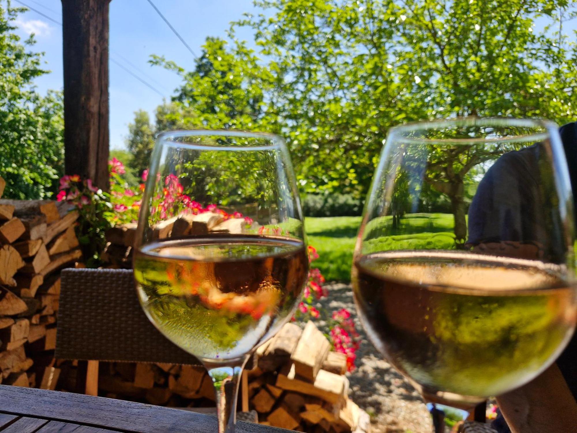 Domaine Le Clos Du Figuier Grisolles *