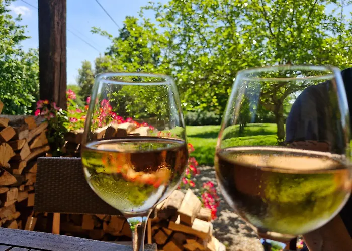 Domaine Le Clos Du Figuier Spa Grisolles
