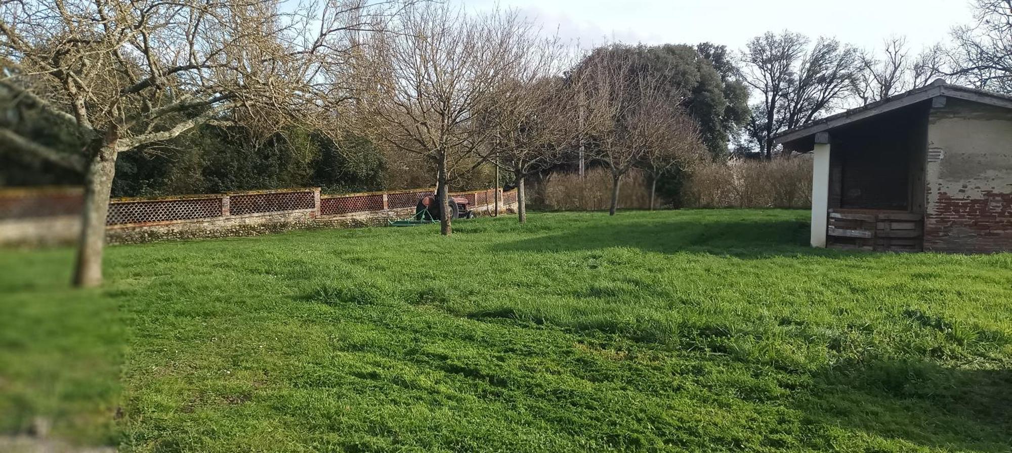 Bed & Breakfast Domaine Le Clos Du Figuier Grisolles *