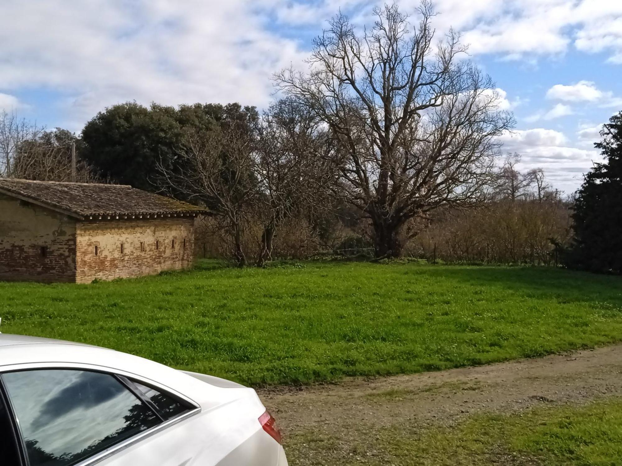 Domaine Le Clos Du Figuier Grisolles